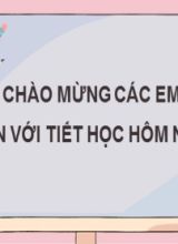 Bài giảng Toán Lớp 7 (Sách Kết nối tri thức) - Bài tập cuối chương 2 - Năm học 2022-2023